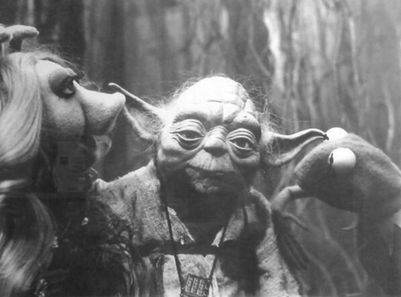 Illustration for article titled Las fotos perdidas del día en que Los Muppets visitaron Star Wars